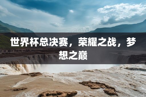 世界杯总决赛，荣耀之战，梦想之巅