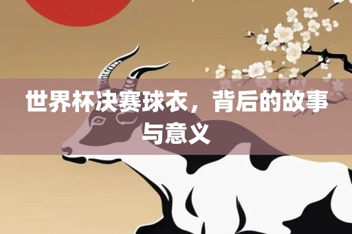 世界杯决赛球衣，背后的故事与意义洪湖市顺升工程机械租赁有限公司