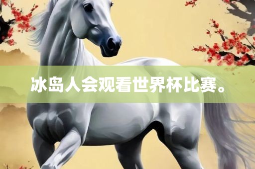 冰岛人会观看世界杯比赛。洪湖市顺升工程机械租赁有限公司