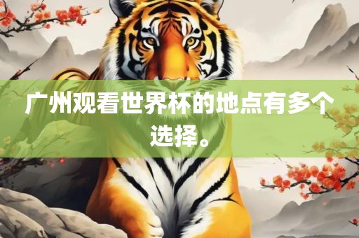 广州观看世界杯的地点有多个选择。