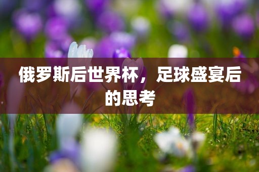 俄罗斯后世界杯，足球盛宴后洪湖市顺升工程机械租赁有限公司的思考