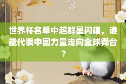 世界杯名单中超群星闪耀，谁能代表中国力量走向全球舞台？