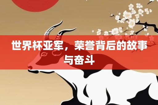 世界杯亚军，荣誉背后的故事与奋斗