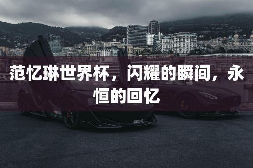 范忆琳世界杯，闪耀的瞬间，永恒的回忆洪湖市顺升工程机械租赁有限公司