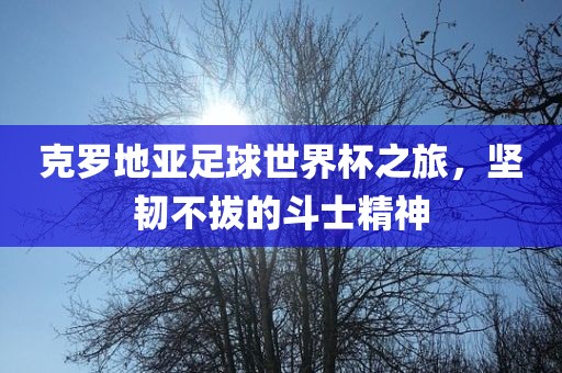 克罗地亚足球世界杯之旅，坚韧不拔的斗士精神洪湖市顺升工程机械租赁有限公司