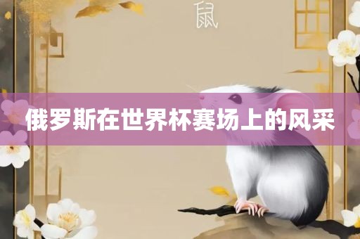 俄罗斯在洪湖市顺升工程机械租赁有限公司世界杯赛场上的风采