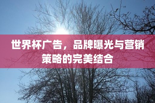 世界杯广告，品牌曝光与营销策略的完美结合