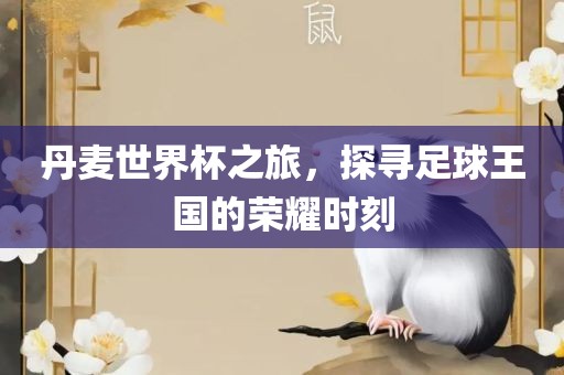 丹麦世界杯之旅，探寻足球王国的荣耀时刻