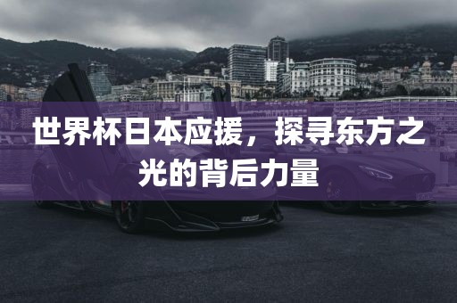 huangpingyue 第6页