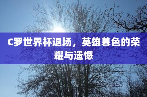 C罗世界杯退场，英雄暮色洪湖市顺升工程机械租赁有限公司的荣耀与遗憾