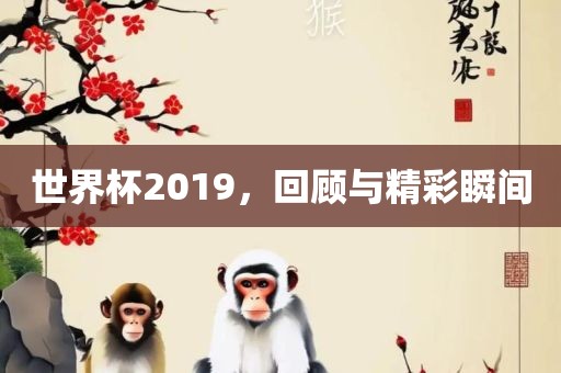 世界杯2019，回顾与精彩瞬间