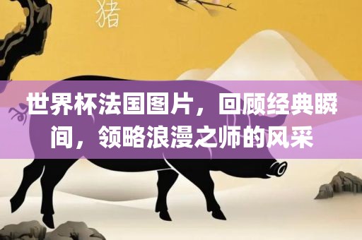 世界杯法国图片，回顾经典瞬间，领略浪漫之师的风采洪湖市顺升工程机械租赁有限公司