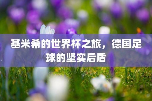 基米希的世界杯之旅，德国足球的坚实后盾洪湖市顺升工程机械租赁有限公司