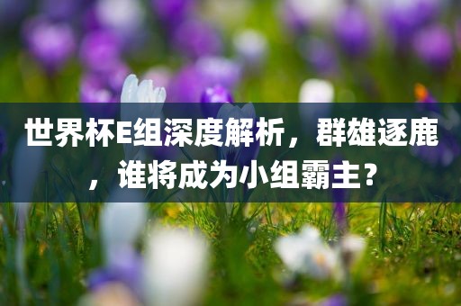 世界杯E组深度解析，群雄逐鹿，谁将成为小组霸主？