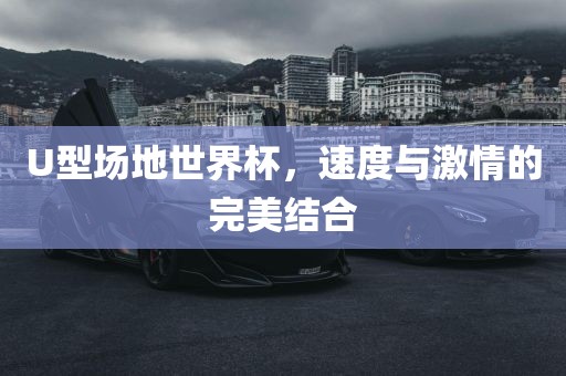 U型场地世界杯，速度与激情的完美结合洪湖市顺升工程机械租赁有限公司