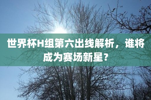 世界杯H组第六出线解析，谁将成为赛场新星？