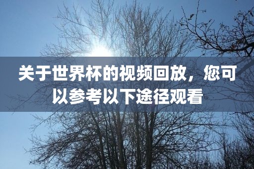 关于世界杯的视频回放，您可以参考以下途径观看