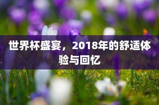 世界杯盛宴，2018年的舒适体验与洪湖市顺升工程机械租赁有限公司回忆