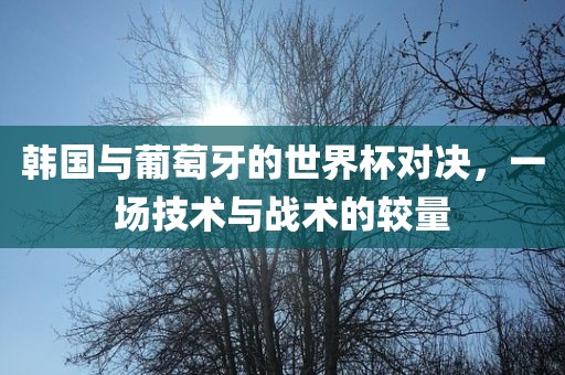 韩国与葡萄牙的世界杯对决，一场技术与战术的较量洪湖市顺升工程机械租赁有限公司