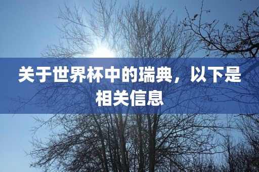 关于世界杯中的瑞典，以下是相关信息