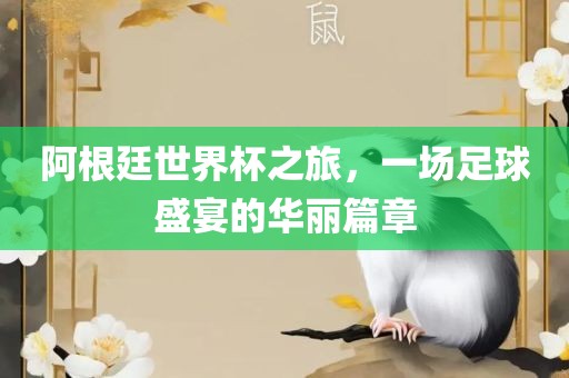 阿根廷世界杯之旅，一场足球盛宴的华丽篇章