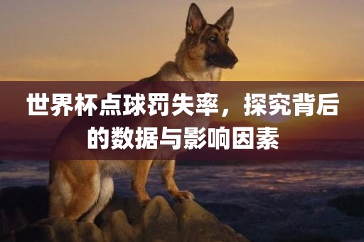 世界杯点球罚失率，探究背后的数据与影响因素洪湖市顺升工程机械租赁有限公司