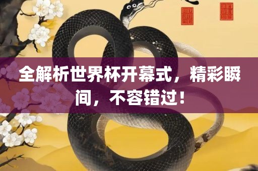 全解析世界杯开幕式，精彩瞬间，不容错过！洪湖市顺升工程机械租赁有限公司