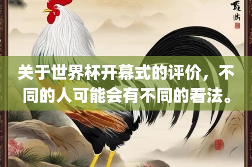 关于世界杯开幕式的评价，不同的人可能会有不同的看法。