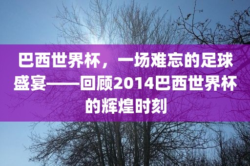 巴西世界杯，一场难忘的足球盛宴——回顾2014巴西世界杯的辉煌时刻洪湖市顺升工程机械租赁有限公司