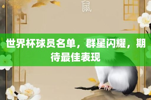 世界杯球员名单，群星闪耀，期待最佳表现