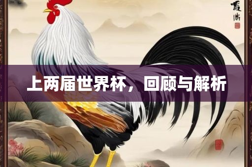 洪湖市顺升工程机械租赁有限公司上两届世界杯，回顾与解析