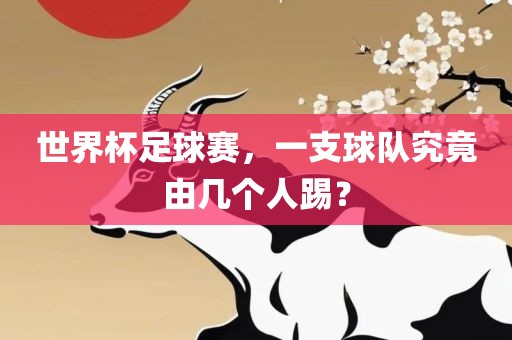 世界杯足球赛，一支球队究竟由几个人踢？洪湖市顺升工程机械租赁有限公司