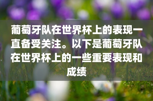 葡萄牙队在世界杯上的表现一直备受关注。以下是葡萄牙队在世界杯上的一些重要表现和成绩洪湖市顺升工程机械租赁有限公司