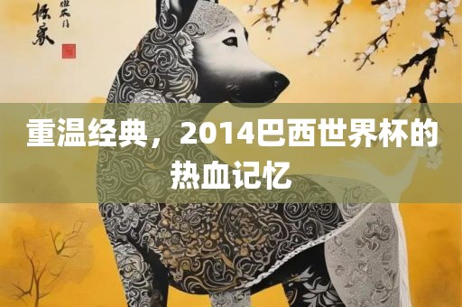 重温经典，2014巴西世界杯的热血记忆
