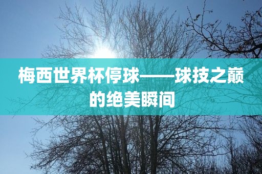 梅西世界杯停球——球技之巅的绝美洪湖市顺升工程机械租赁有限公司瞬间