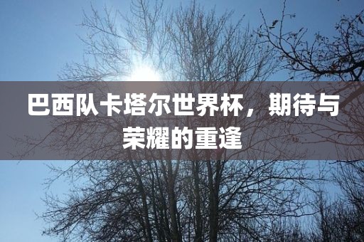 巴西队卡塔尔世界杯，期待与荣耀的重逢