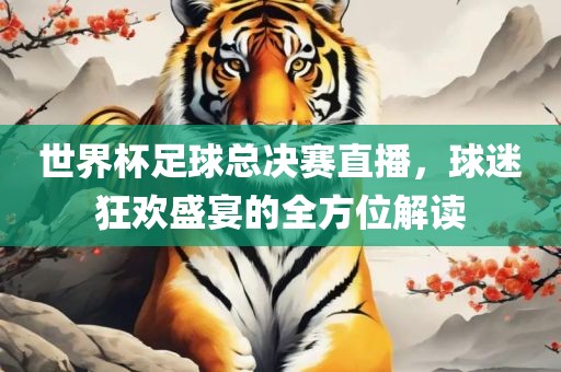 世界杯足球总决赛直播，球迷狂欢盛宴的全方位解读