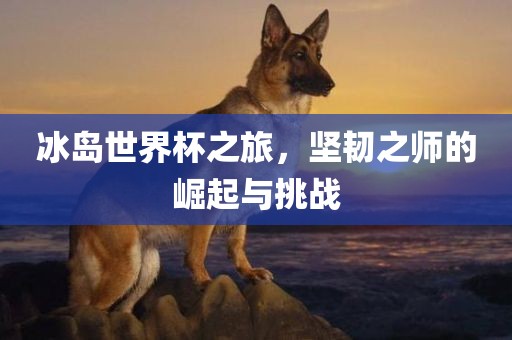 冰岛世界杯之旅，坚韧之师的崛起与挑战