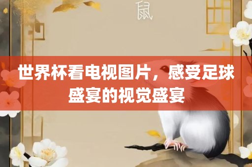 世界杯看电视图片，感受足球盛宴的视觉盛宴