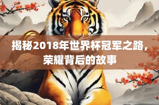揭秘2018年世界杯冠军之路，荣耀背后的故事
