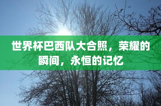 世界杯巴西队大合照，荣耀的瞬间，永恒的记忆洪湖市顺升工程机械租赁有限公司