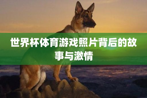 世界杯体育游戏照片背后的故事与激情洪湖市顺升工程机械租赁有限公司