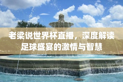 老梁说世界杯直播，深度解读足球盛宴的激情与智慧洪湖市顺升工程机械租赁有限公司