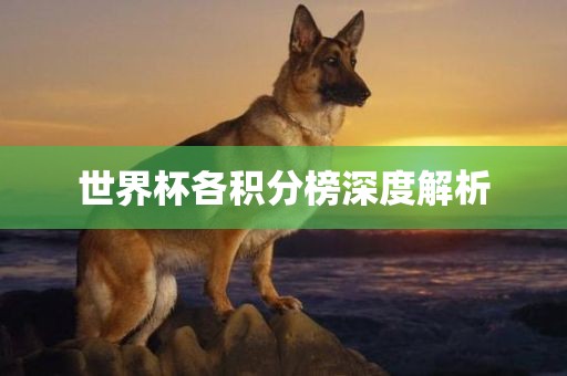 世界杯各积分榜深度解析