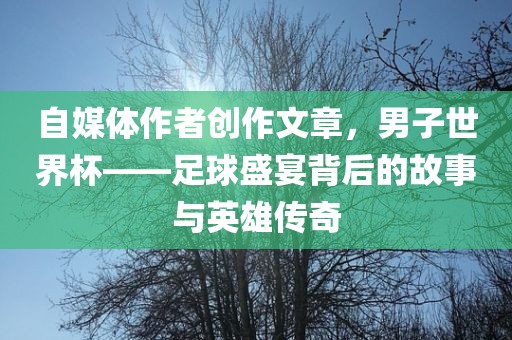 自媒体作者创作文章，男子世界杯——足球盛宴背后的故事与英雄传奇