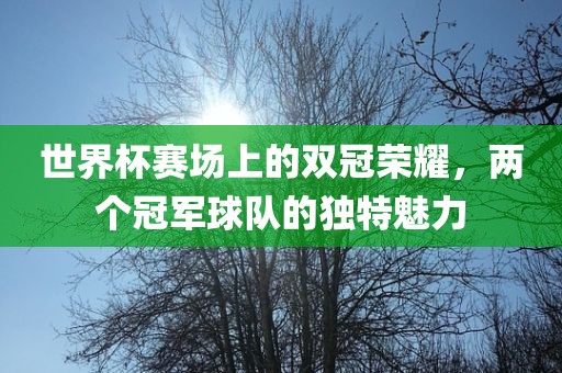 世界杯赛场上的双冠荣洪湖市顺升工程机械租赁有限公司耀，两个冠军球队的独特魅力