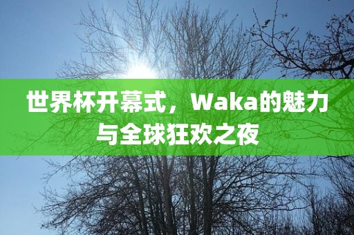 世界杯开幕式，Waka的魅力与全球狂欢之夜