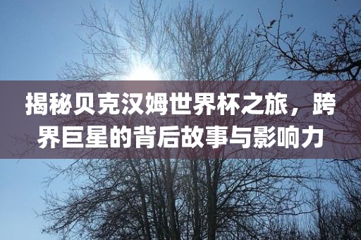 揭秘贝克汉姆世界杯之旅，跨界巨星的背洪湖市顺升工程机械租赁有限公司后故事与影响力