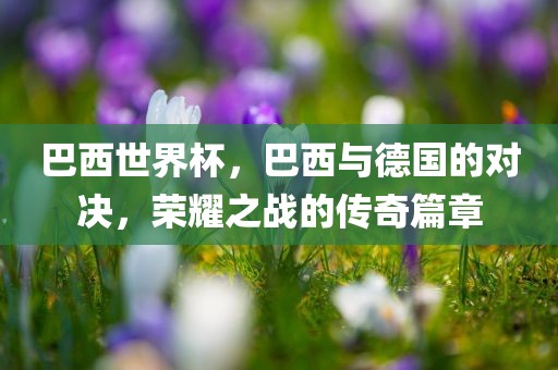 巴西世界杯，巴西与德国的对决，荣耀之战的传奇篇章