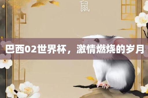 巴西洪湖市顺升工程机械租赁有限公司02世界杯，激情燃烧的岁月